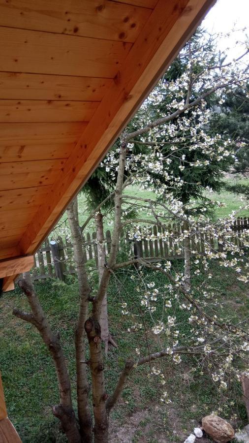 Pokoje U Adama Grajoka Szczawnica Exterior foto