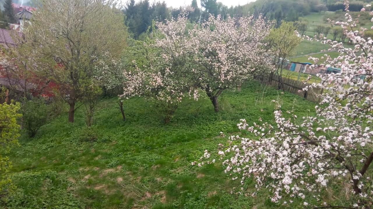 Pokoje U Adama Grajoka Szczawnica Exterior foto