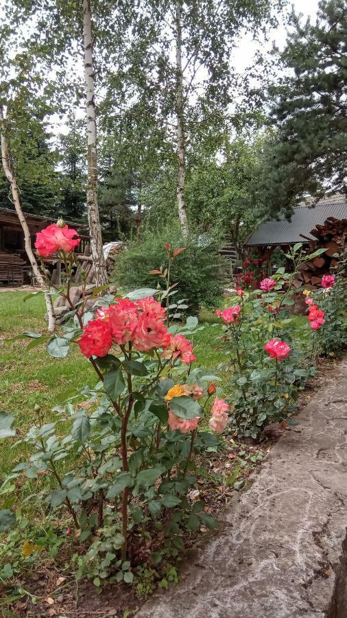 Pokoje U Adama Grajoka Szczawnica Exterior foto